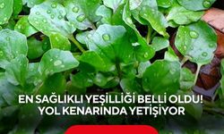 Dünyanın en sağlıklı yeşilliği belli oldu! Yol kenarında yetişiyor