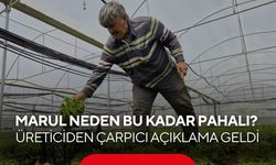 Tarlada 15 TL, tezgahta 100 TL! Marulda büyük farkın sebebi ne?