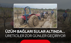 Üzüm bağları sular altında… Üreticiler zor günler geçiriyor