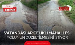 Vatandaşlar Çelikli Mahallesi yolunun düzeltilmesini istiyor
