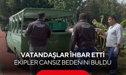 Vatandaşlar ihbar etti, ekipler harekete geçti: Ölü bulundu