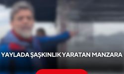 Yaylaya giden grup gözlerine inanamadı... Kamelyada her detay düşünülmüş