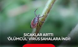 Yazın korkulu rüyası geri döndü: 21 yaşındaki gencin ölümü sonrası alarm verildi!