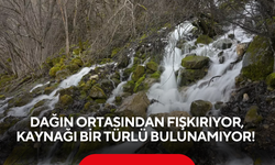 Yılda sadece 15 gün ortaya çıkıyor! Dağın göbeğinden fışkıran gizemin sırrı çözülemedi