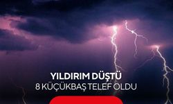 Yıldırım düşmesi sonucu 8 küçükbaş hayvan telef oldu