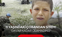 11 yaşındaki çobandan insanlık dersi: "Davar kadar olamadınız"