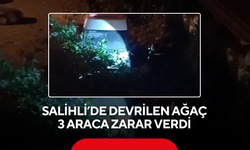 Salihli’de devrilen ağaç 3 araca zarar verdi
