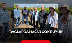Yalvaç 'Bağlarda hasar çok büyük'