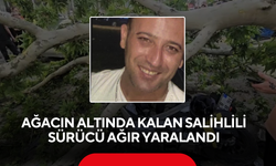 Ağacın altında kalan Salihlili sürücü ağır yaralandı