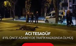 Acı tesadüf: 4 yıl önce ağabeyi de trafik kazasında ölmüş