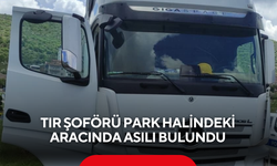Arayınca ulaşamadılar... Tır şoförü park halindeki aracında asılı bulundu