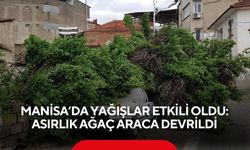 Manisa’da yağışlar etkili oldu: Asırlık ağaç araca devrildi