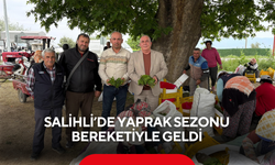 Salihli’de yaprak sezonu bereketiyle geldi