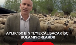 Aylık 150 bin TL’ye çalışacak işçi bulamıyorlardı! Asgari ücretle çalışacak ekip geldi