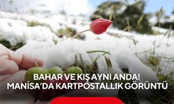 Bahar ve kış aynı anda: Manisa’da kartpostallık görüntü