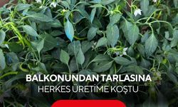 Bahçeden balkona üretim seferberliği! Toprak canlandı, fideciler doldu taştı...
