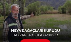 Bahçeler sular altında kaldı, ağaçlar kurudu, köylü çaresiz, yardım bekliyor...