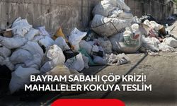 Bayram sabahı çöp krizi! Mahalleler kokuya teslim