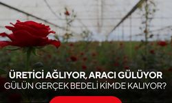 Binbir emekle yetiştirilen güller serada değer görmüyor, vitrinde uçuyor...