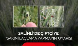 Salihli’de çiftçiye kritik uyarı: Buğday tarlalarında ilaçlama yapmayın!