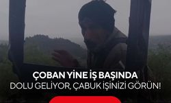 Dağın ortasında canlı yayın gibi hava durumu! İzleyenler kahkahaya boğuldu...