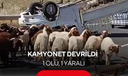 Kurbanlık yüklü kamyonet devrildi: 1 ölü, 1 yaralı
