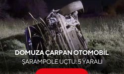 Yaban domuzu dehşeti: Otomobil şarampole uçtu, 5 yaralı