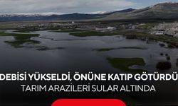 Debisi yükseldi, önüne geleni katıp götürdü! Tarım arazileri sular altında...