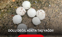 Dolu değil adeta taş yağdı! Araçlar hasar aldı, çiçekler dallarından koptu