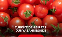 Dünyanın en iyi domatesleri belli oldu! Türkiye’den o ilçede sıralamada