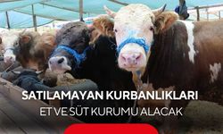 Satılamayan kurbanlıkları Et ve Süt Kurumu alacak