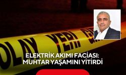 Elektrik akımı faciası: Muhtar yaşamını yitirdi
