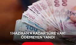 1 Haziran'a kadar süre var! Ödemeyen yandı