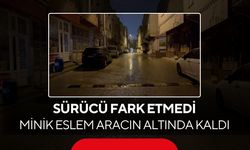 Arkadaşları çığlık attı, sürücü durdu... 4 yaşındaki Eslem yaşam savaşı veriyor