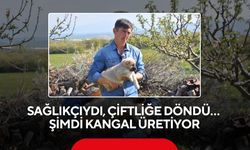 Genç Fizyoterapist tarıma döndü, Manisa’da kangal üretimi başlattı