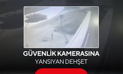 Güvenlik kamerasına yansıyan dehşet! Otomobil banktaki çocukları biçti...
