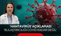 Uzmanlardan ‘hantavirüs' açıklaması: "Bulaştırıcılığı Covid kadar değil"