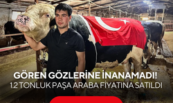 Heybetini gören gözlerine inanamadı! 1.2 tonluk kurbanlık araba fiyatına satıldı
