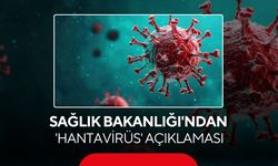 Son dakika... Sağlık Bakanlığı'ndan 'hantavirüs' açıklaması