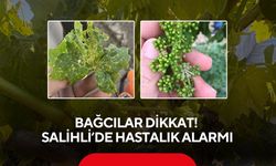 Bağcılar dikkat! Salihli’de hastalık alarmı