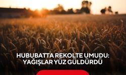Hububatta rekolte umudu: Yağışlar yüz güldürdü