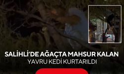 Salihli’de yürek ısıtan kurtarma: Mahsur kalan yavru kedi kurtarıldı