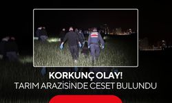 Korkunç olay: Tarım arazisinde ceset bulundu