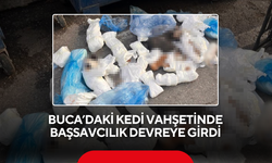 Kan donduran olay ! Başsavcılık itiraz etti, veteriner hekim tekrar gözaltına alındı...