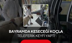 Kurbanlık koçunu teleferikle Uludağ’a çıkardı! İlginç anlar gülümsetti