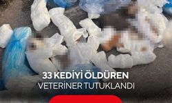 33 kedi vahşeti! Veteriner yeniden gözaltına alınıp tutuklandı