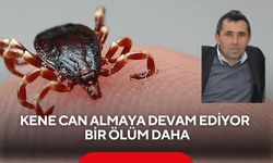 Kene kabusu büyüyor! Bir can daha aldı