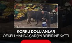 Kontrolden çıkan manda dehşet saçtı! Yaşlı adam yere böyle savruldu...