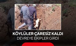 Köylüler çaresiz kaldı, devreye giren ekipler ineği böyle kurtardı...