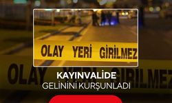 Kanlı kavga: Kayınvalide gelinini kurşunladı